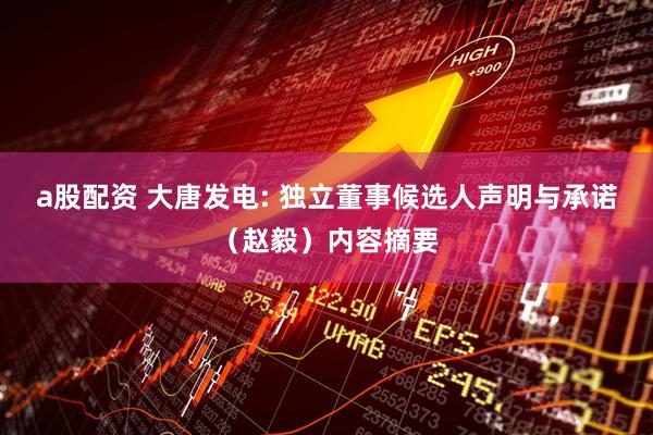 a股配资 大唐发电: 独立董事候选人声明与承诺（赵毅）内容摘要