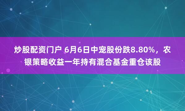 炒股配资门户 6月6日中宠股份跌8.80%，农银策略收益一年持有混合基金重仓该股