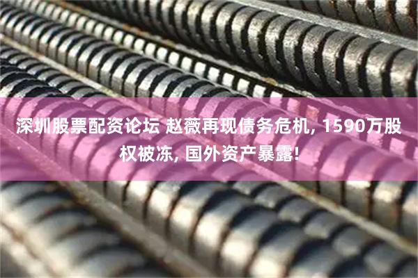 深圳股票配资论坛 赵薇再现债务危机, 1590万股权被冻, 国外资产暴露!